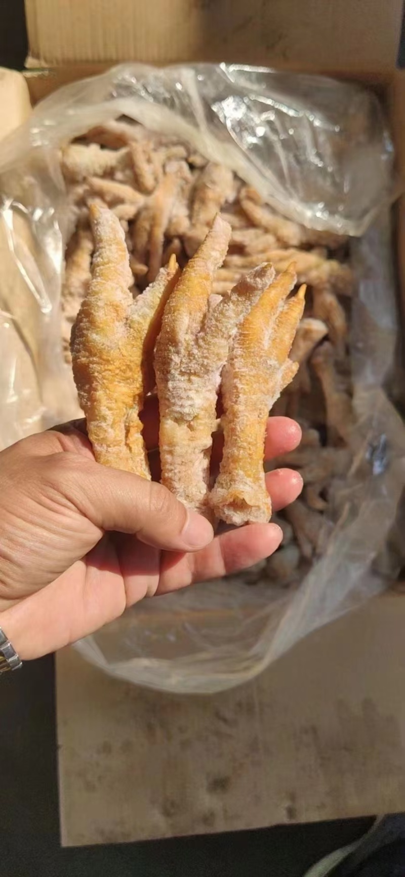 虎皮凤爪最新日期，现场实拍山东腾惠更多客户的选择