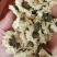 菊花，货源充足，足斤足量，全国发货，欢迎选购
