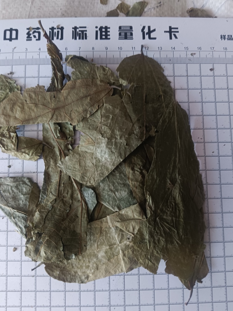 布渣叶无硫新货产地一手货源现货24小时内发货