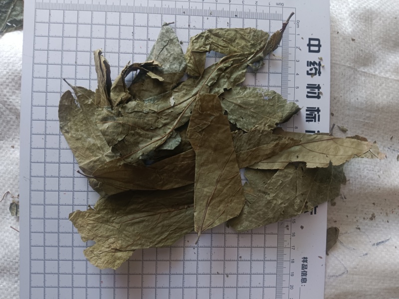 布渣叶无硫新货产地一手货源现货24小时内发货