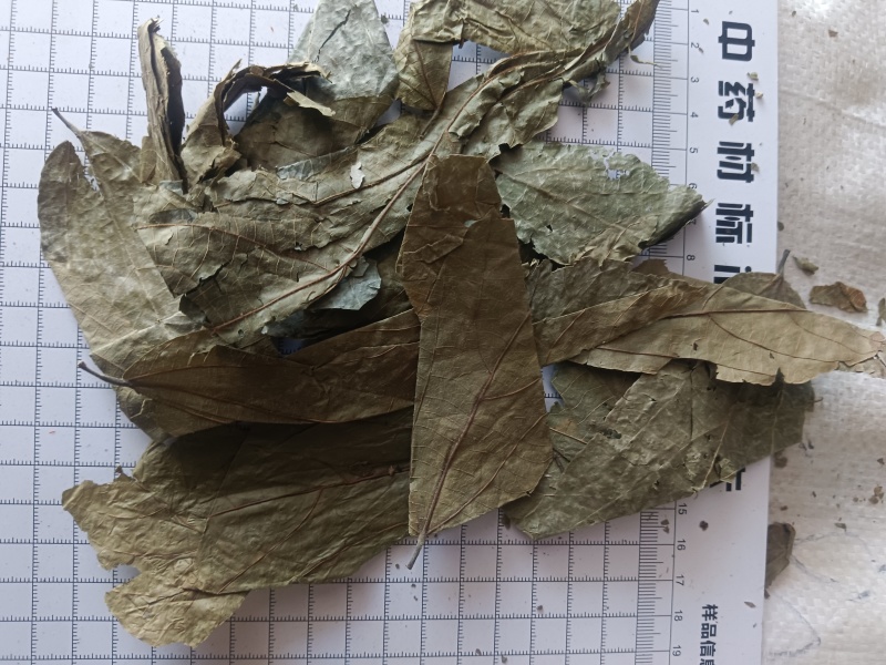 布渣叶无硫新货产地一手货源现货24小时内发货