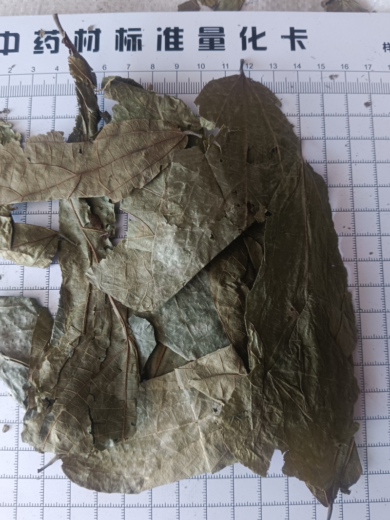 布渣叶无硫新货产地一手货源现货24小时内发货