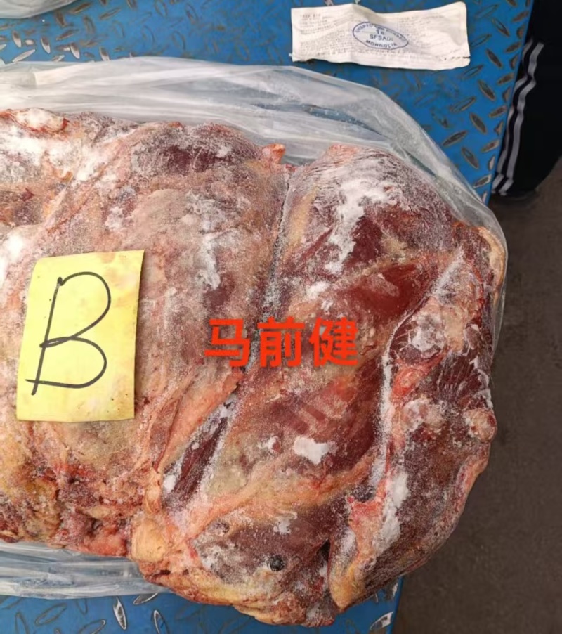 马前腱