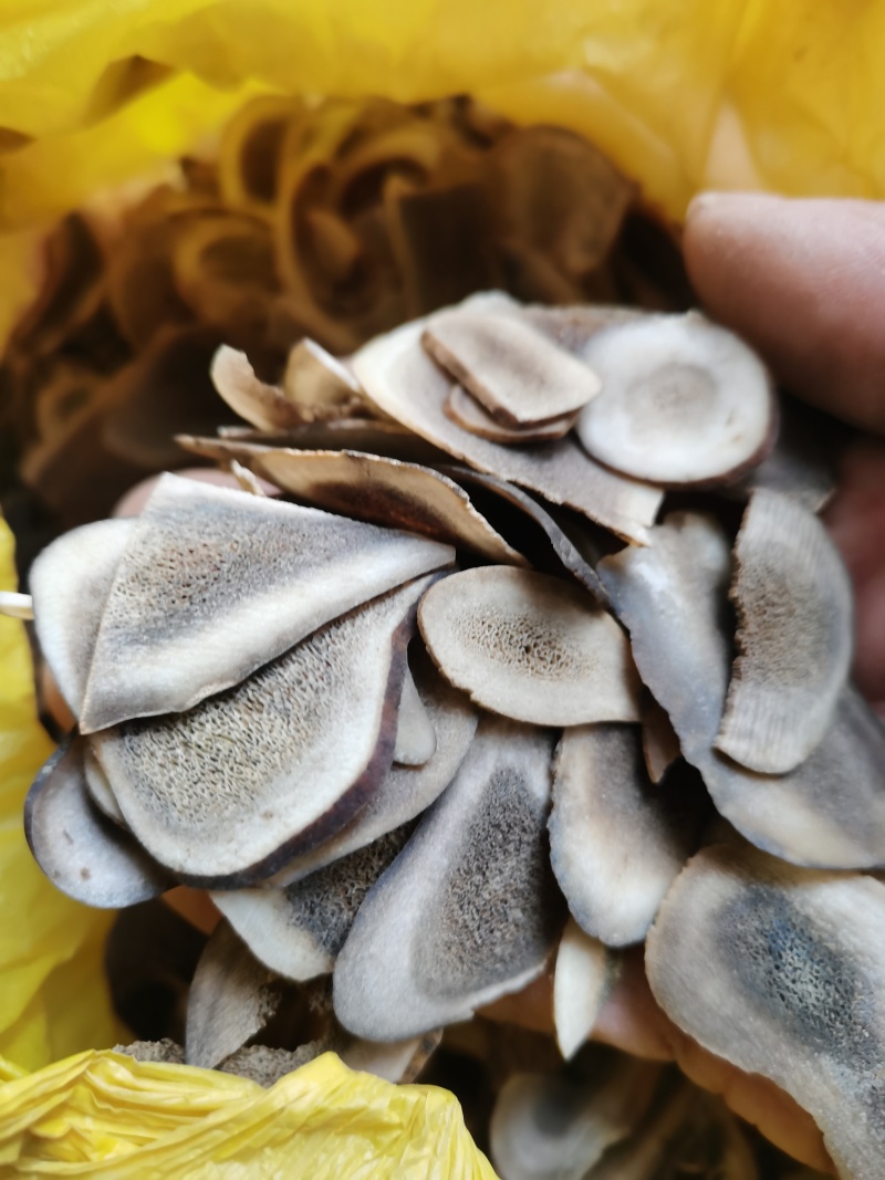 鹿茸