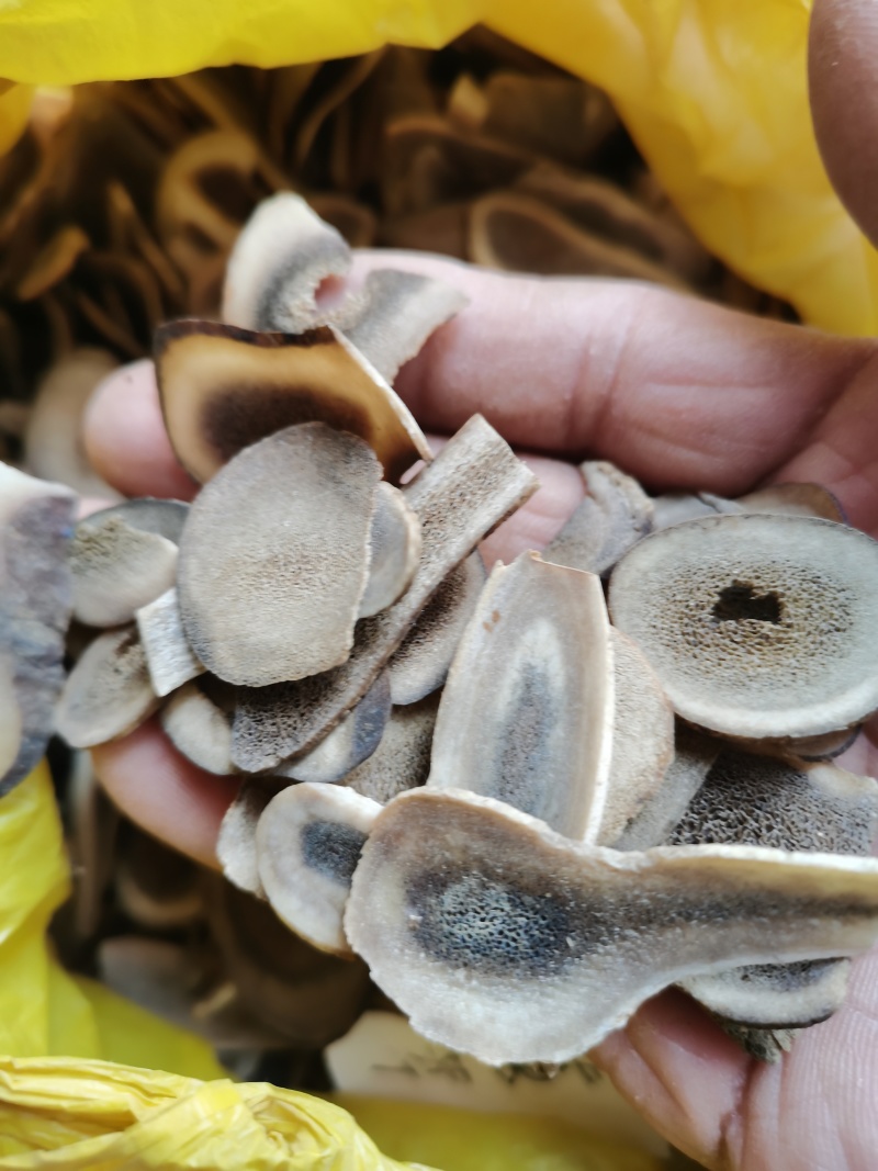 鹿茸