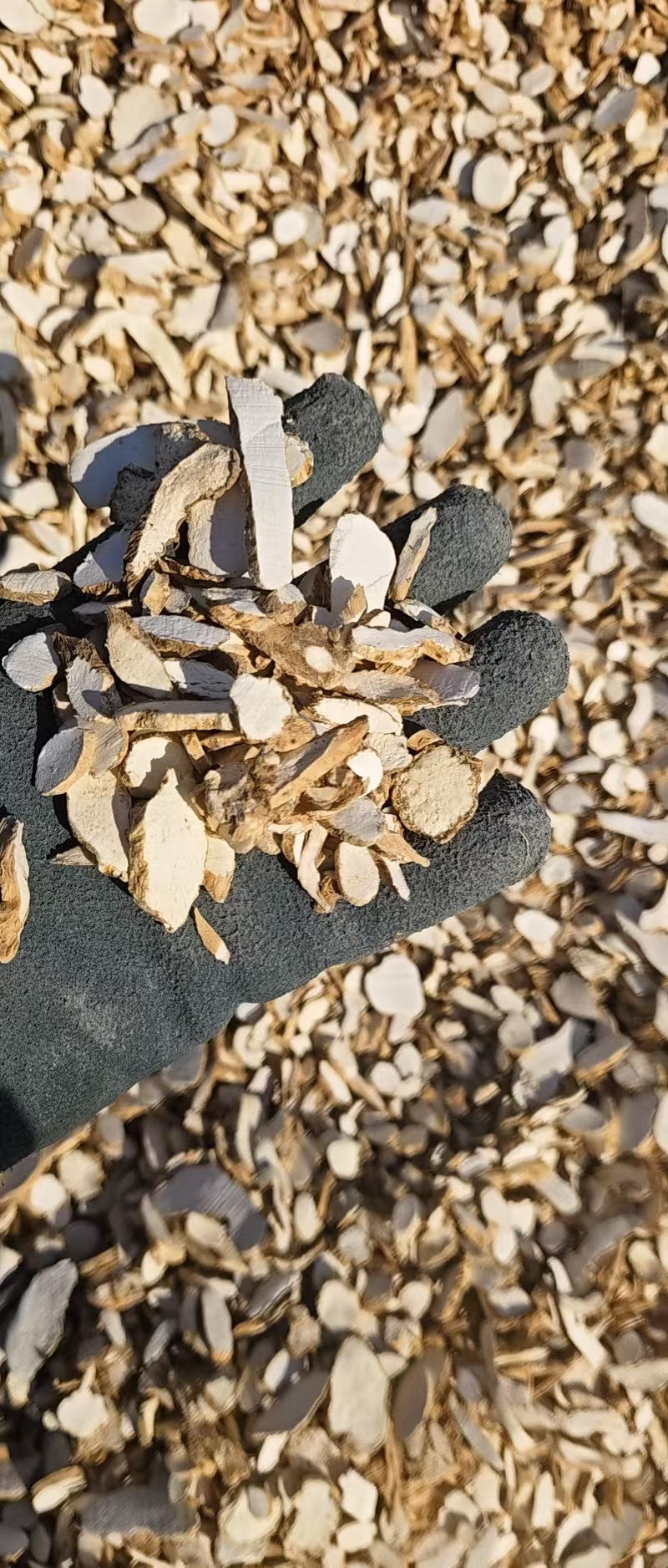 《山药》纯无硫磺水洗山药片