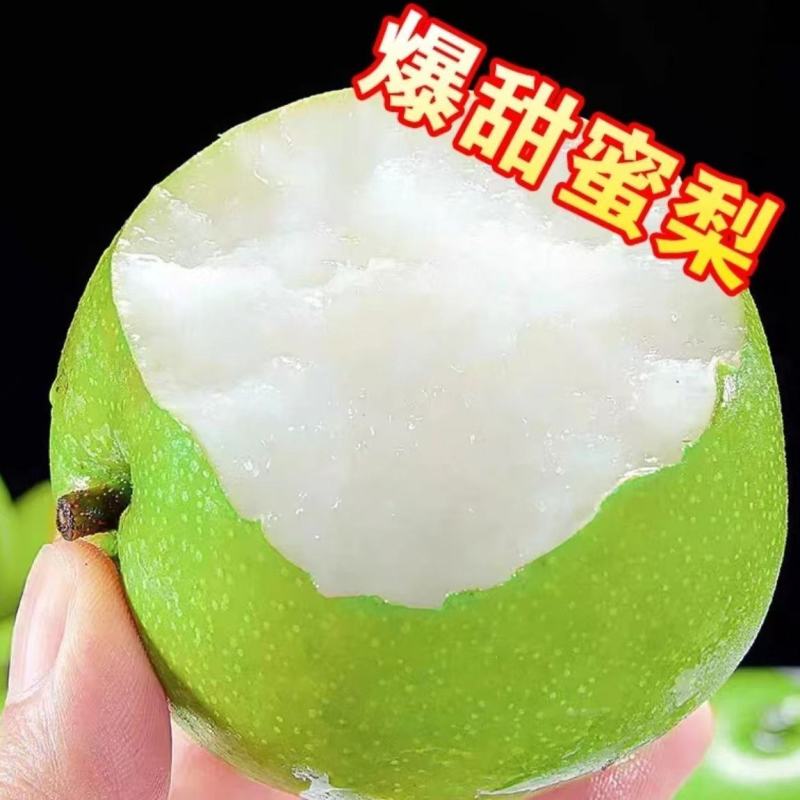 安徽砀山青皮翠玉梨新鲜现摘大果砀山脆梨皇冠梨翠冠梨子水果