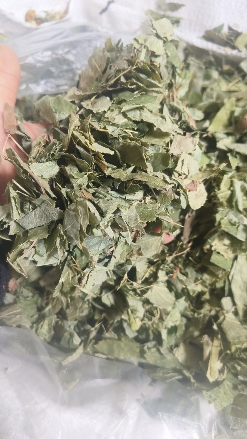 【淫羊藿】洋藿叶仙灵脾叶炙淫羊藿实物拍摄货真价实