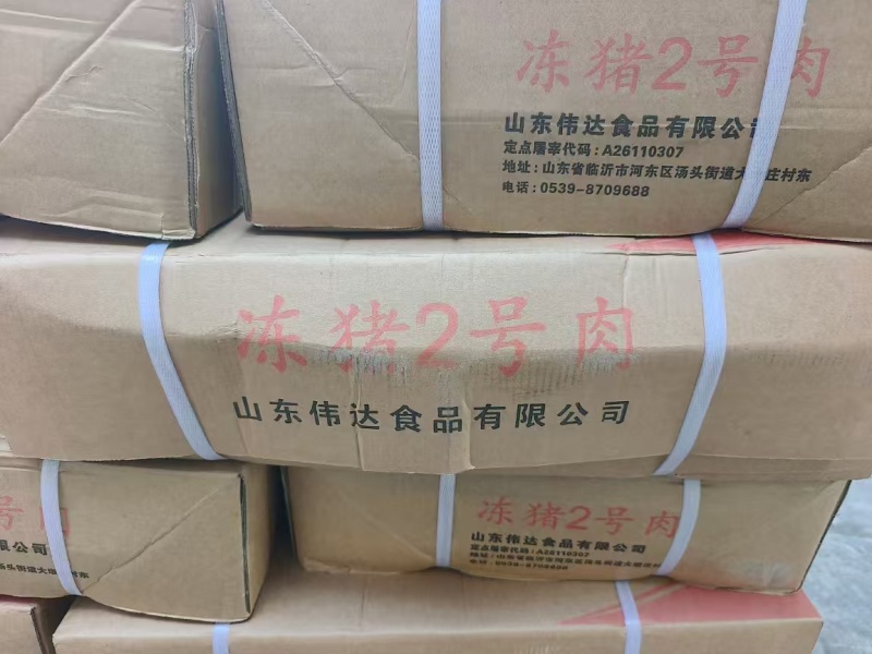 母猪2号