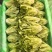 精品意大利生菜大量上市货源充足保质保量，对接市场平台
