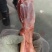 【大羊后小腿】当地草原羊的后健！带拐筋新鲜速冻！全国接单