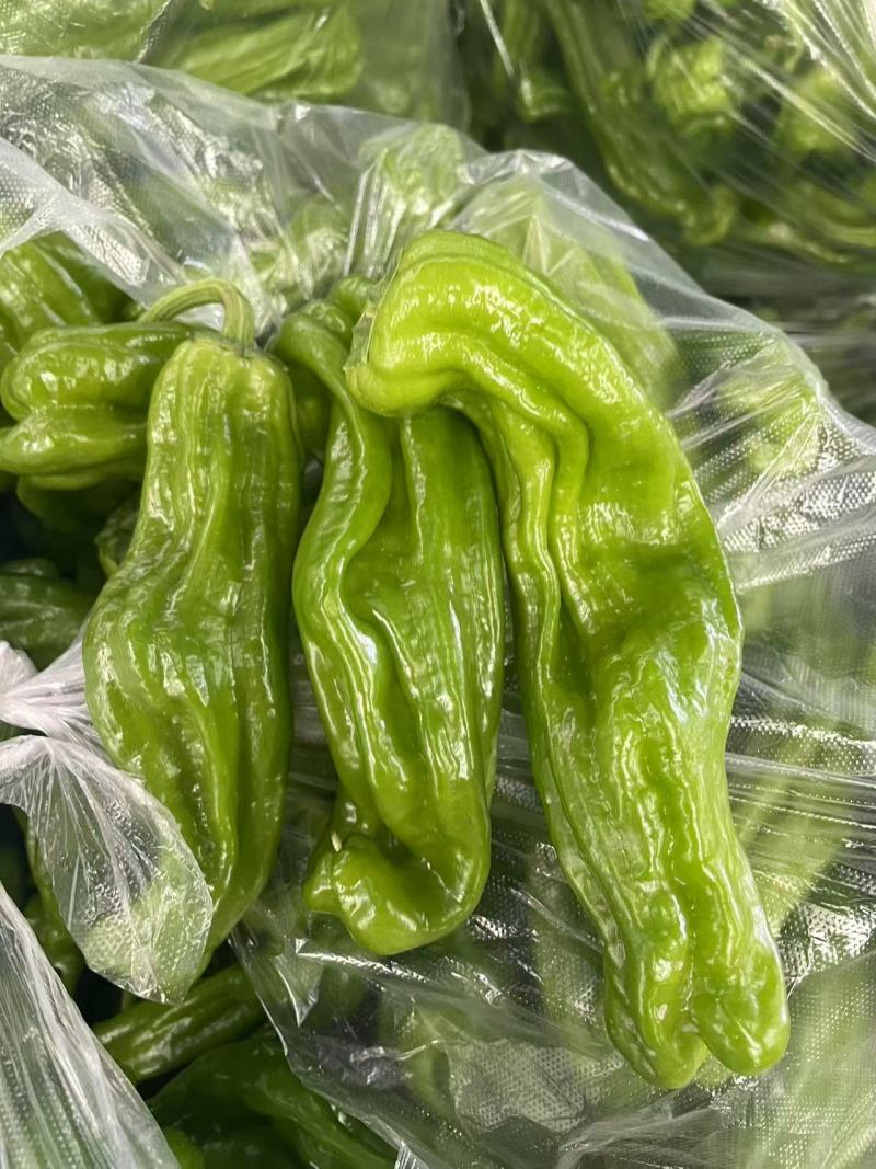 精品薄皮椒芜湖椒青椒大量供应各种规格欢迎来电