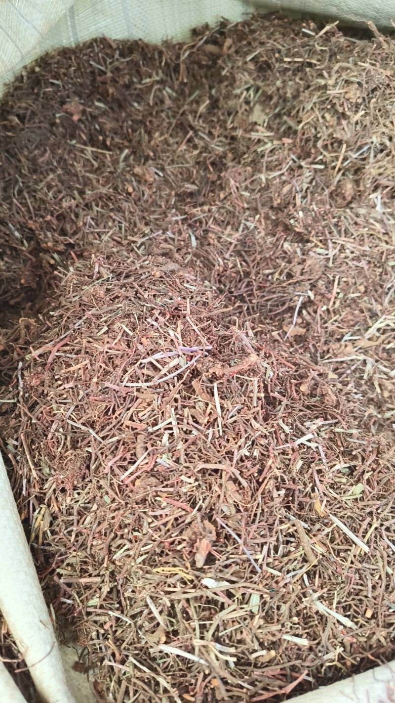 【茜草根】红茜草纯根血见愁破血草纯野生草根货真价实物