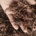 【茜草根】红茜草纯根血见愁破血草纯野生草根货真价实物