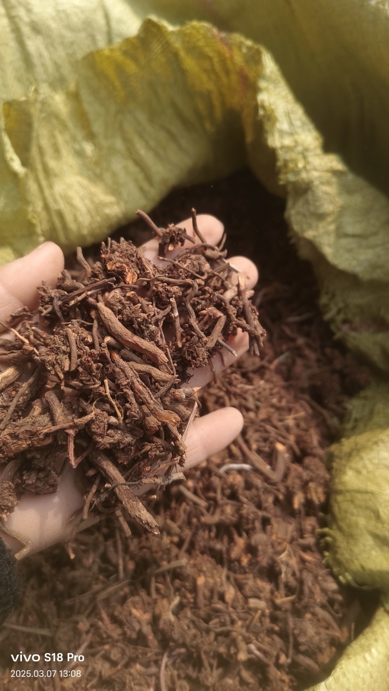 【茜草根】红茜草纯根血见愁破血草纯野生草根货真价实物
