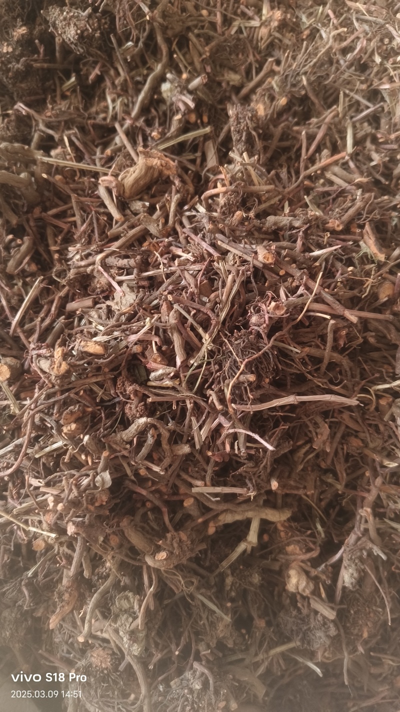 【茜草根】红茜草纯根血见愁破血草纯野生草根货真价实物