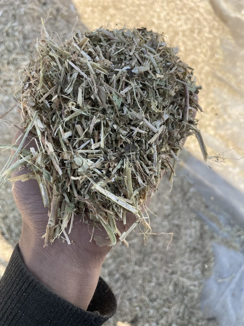 花生秧草料优质草料源头加工柔丝除尘直发供应