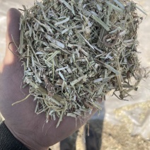 花生秧草料优质草料源头加工柔丝除尘直发供应
