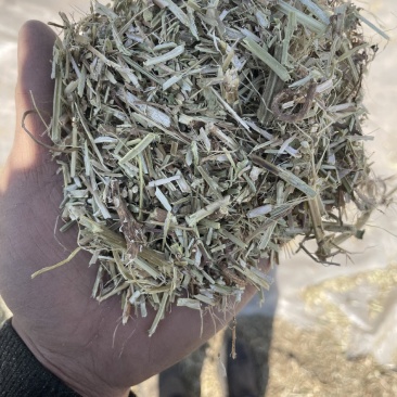 花生秧草料优质草料源头加工柔丝除尘直发供应