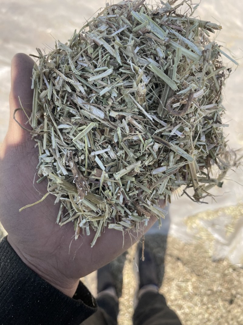 花生秧草料优质草料源头加工柔丝除尘直发供应