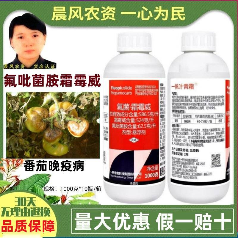 一帆叶青霜586.5克/升氟菌霜霉威番茄晚疫病农药氟吡菌