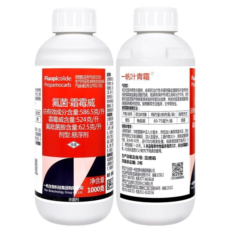 一帆叶青霜586.5克/升氟菌霜霉威番茄晚疫病农药氟吡菌