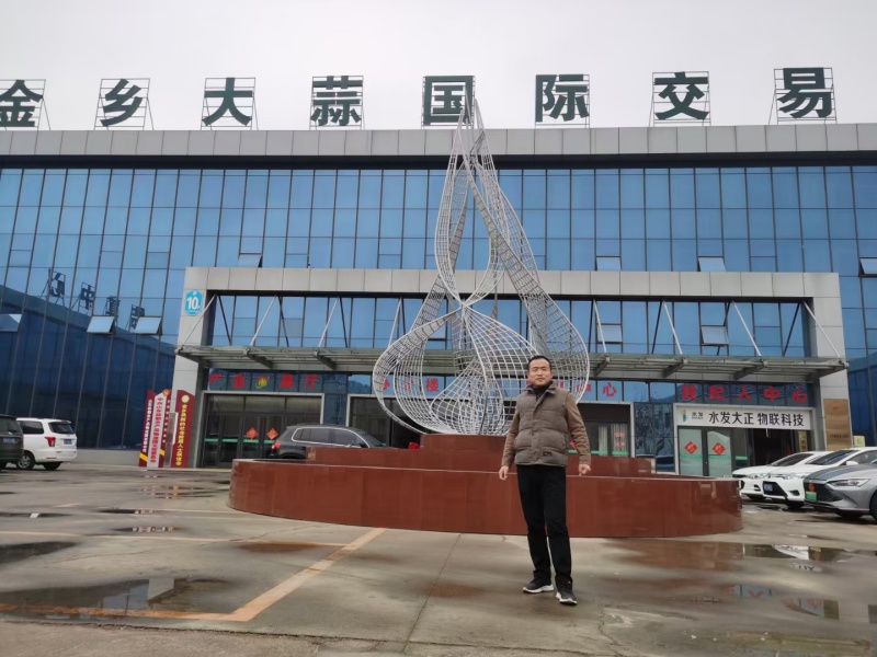 一件代发，可接急单，紫红皮大蒜头，产地直供