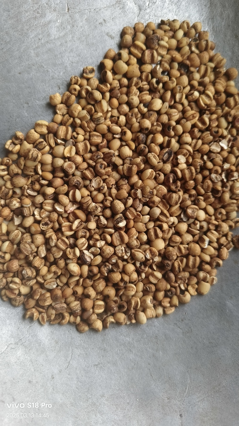 【薏仁米】小薏米贵州薏米纯干无硫麸炒薏米仁