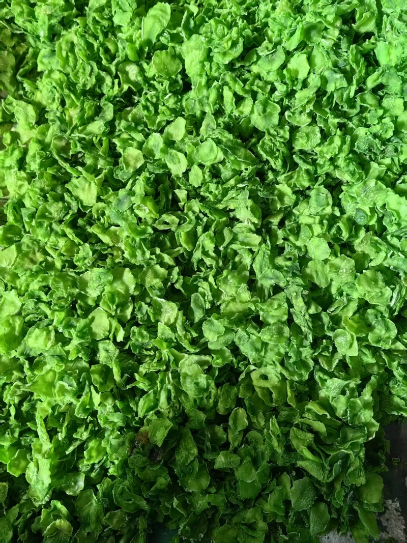 脱水莴苣片