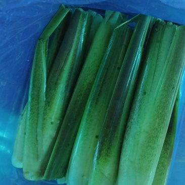 新鲜上市茭白