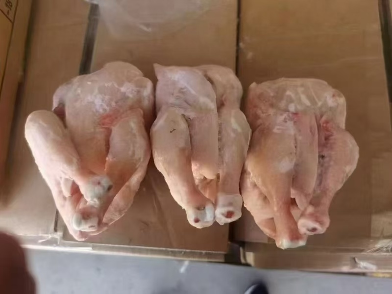 西装鸡