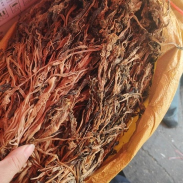 白菜芯