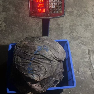 屠宰场直销每天鲜货纯干品质保证精品圆刀牛百叶空运