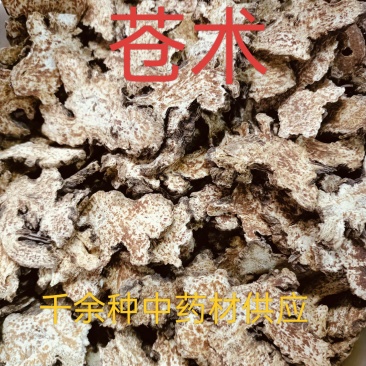 苍术，正品内蒙朱砂点苍术质量保证价格优惠欢迎咨询购买