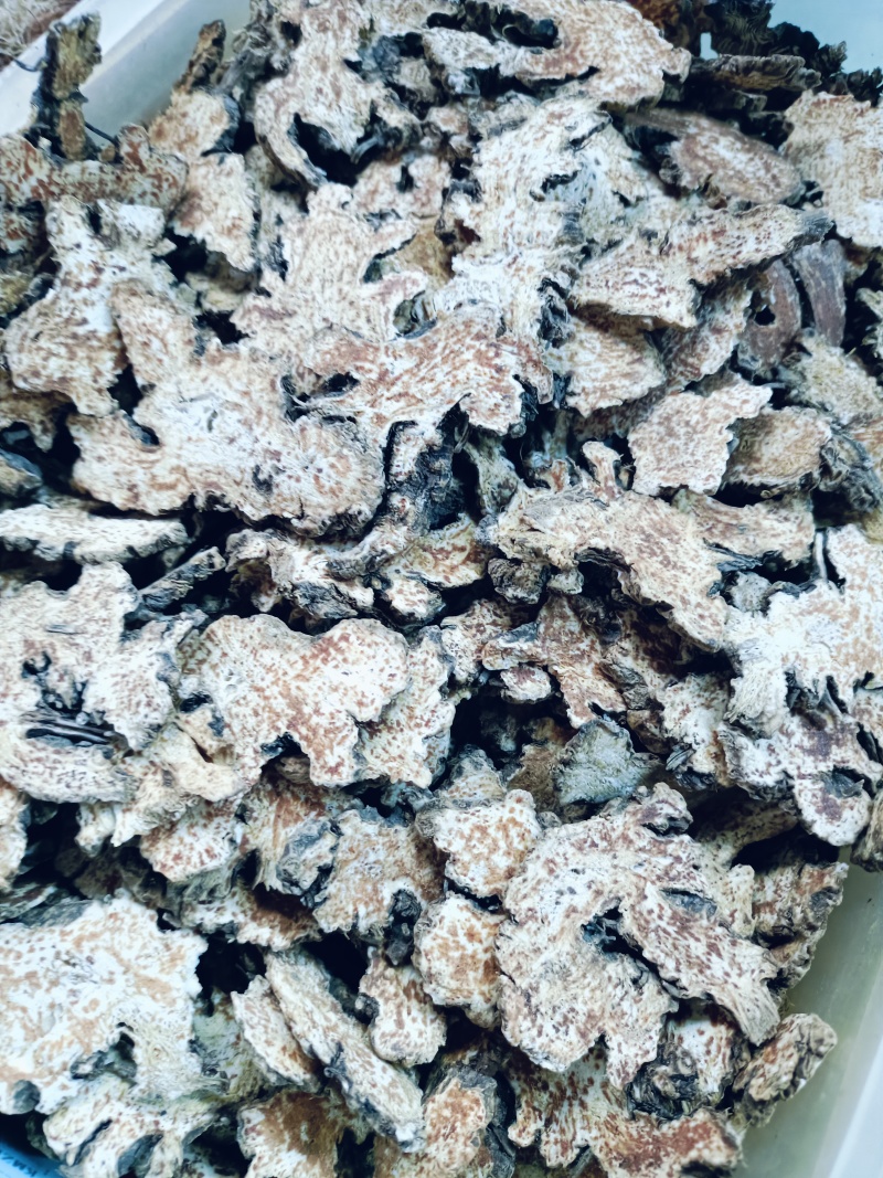 苍术，正品内蒙朱砂点苍术质量保证价格优惠欢迎咨询购买