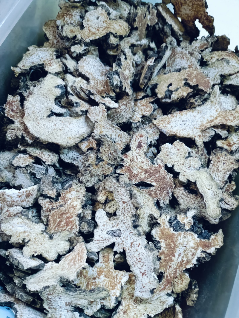 苍术，正品内蒙朱砂点苍术质量保证价格优惠欢迎咨询购买