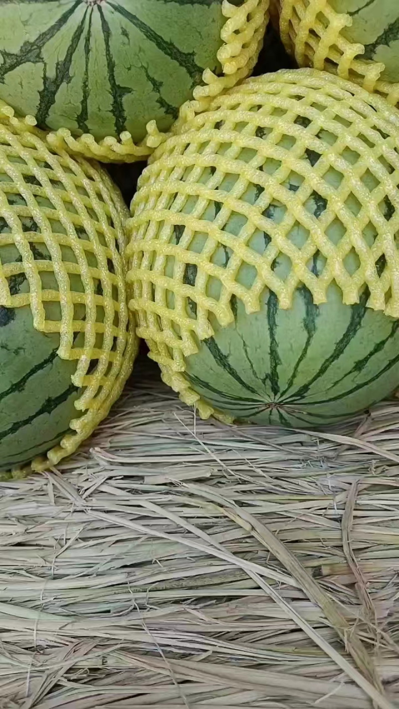 为你提供万亩优质大棚吊兰西瓜，一手货源，产地直发