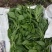 【新鲜供货】冰菜，四川冰菜，大量供应保质保量，可全国发货