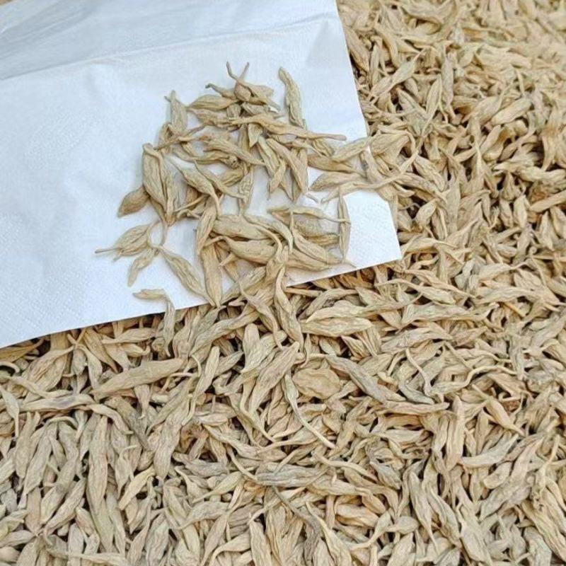 【精选】纯野生麦冬，精品货，量大从优，价格优惠！可批发可
