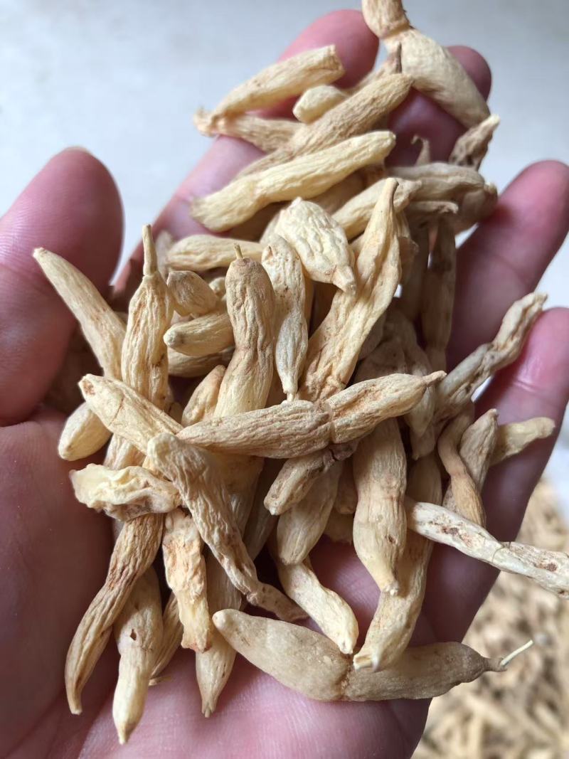 【精选】纯野生麦冬，精品货，量大从优，价格优惠！可批发可