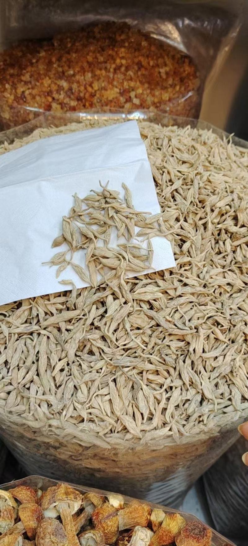 【精选】纯野生麦冬，精品货，量大从优，价格优惠！可批发可