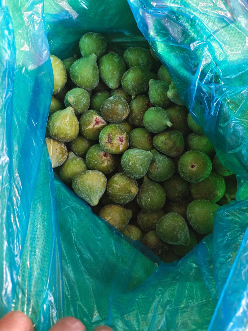山东威海荣成无花果冻果