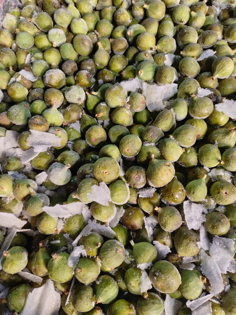 山东威海荣成无花果冻果