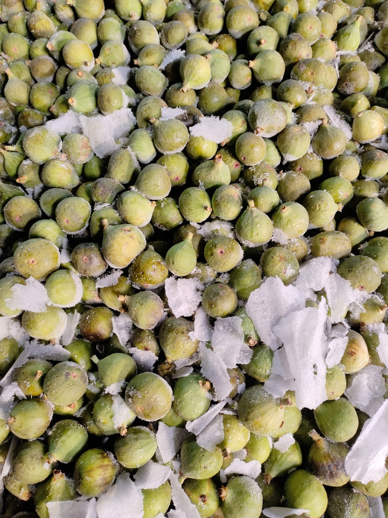 山东威海荣成无花果冻果