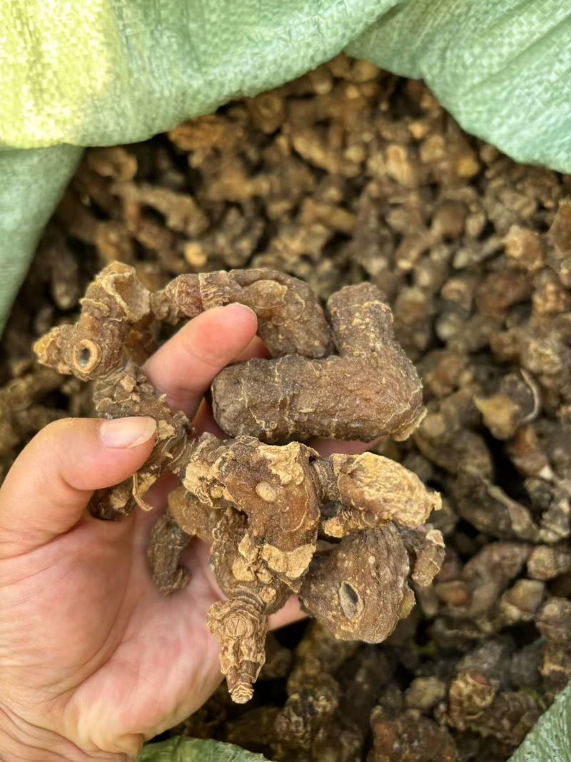 【精品】野生蒸九晒黄精可零售，量大从优，价格美丽
