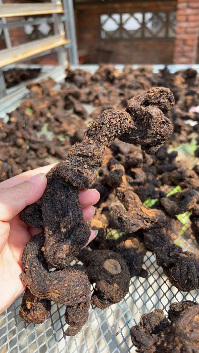 【精品】野生蒸九晒黄精可零售，量大从优，价格美丽