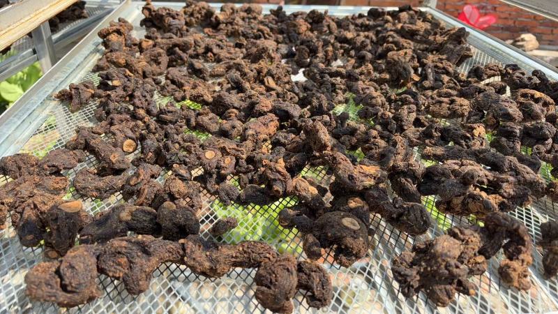 【精品】野生蒸九晒黄精可零售，量大从优，价格美丽