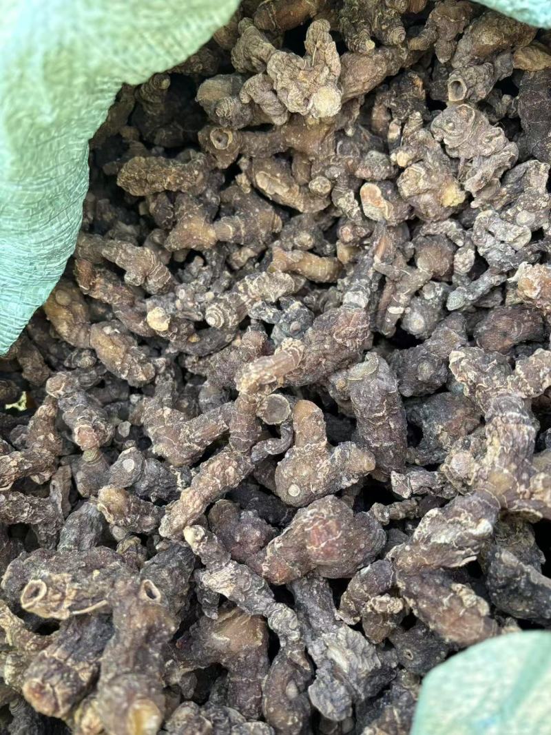 【精品】野生蒸九晒黄精可零售，量大从优，价格美丽