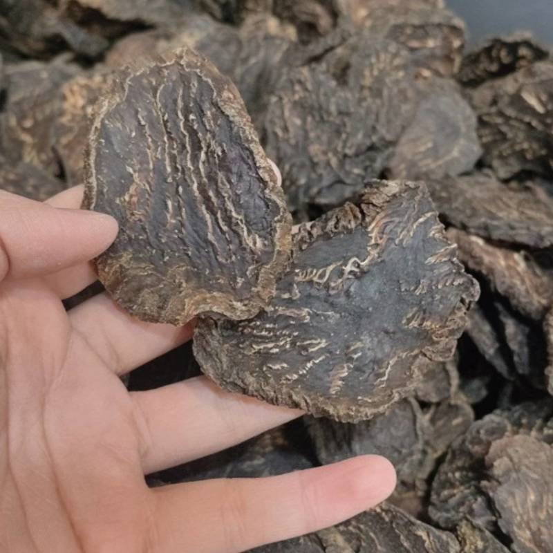 肉苁蓉肉苁蓉马蹄片熟制各种规格批发零售