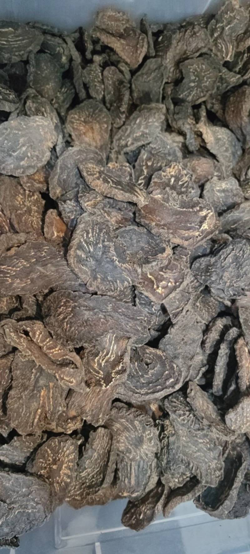 肉苁蓉肉苁蓉马蹄片熟制各种规格批发零售